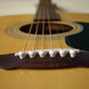 Meet your Posher, Elia